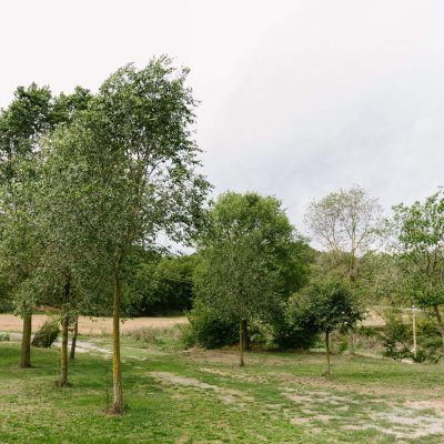 exterior darrera