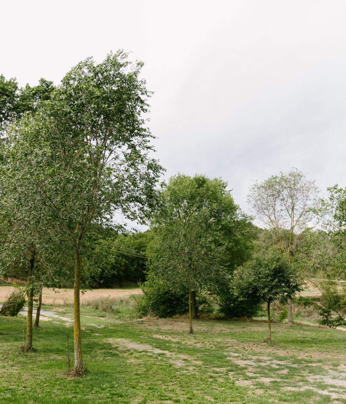 exterior darrera